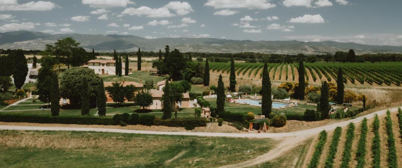 Villa Via Della Stella à Valiano Extérieur photo